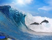 Фотообои волны с дельфинами